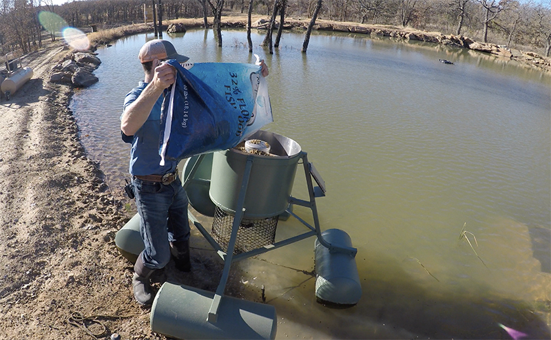 filling-floating-fish-feeder